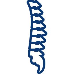 Ícone Coluna